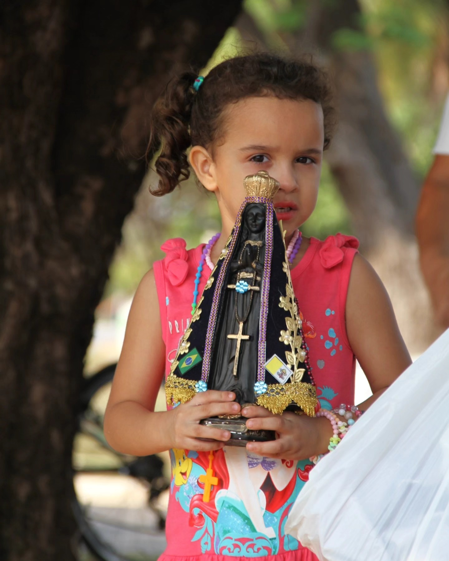 Celebração de Nossa Senhora Aparecida na Missão Rondônia