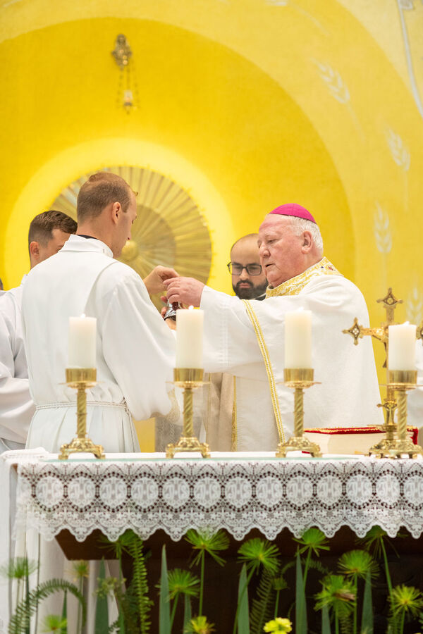 Profissão perpétua e Diaconado do Fr. Tiago Junior Waier