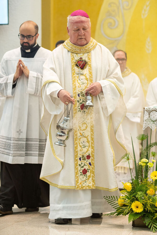Profissão perpétua e Diaconado do Fr. Tiago Junior Waier