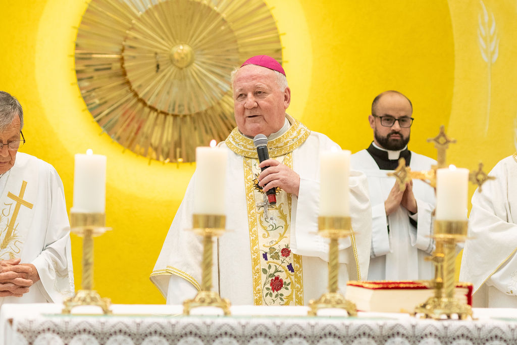 Profissão perpétua e Diaconado do Fr. Tiago Junior Waier