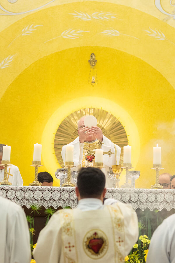 Profissão perpétua e Diaconado do Fr. Tiago Junior Waier