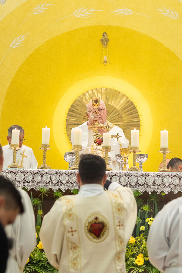 Profissão perpétua e Diaconado do Fr. Tiago Junior Waier