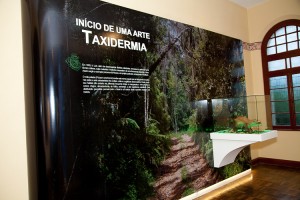 Informativo Museu Ir. Luiz Godofredo Gartner — Edição 02