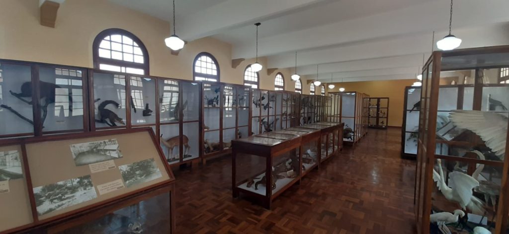 Vitrines Científicas